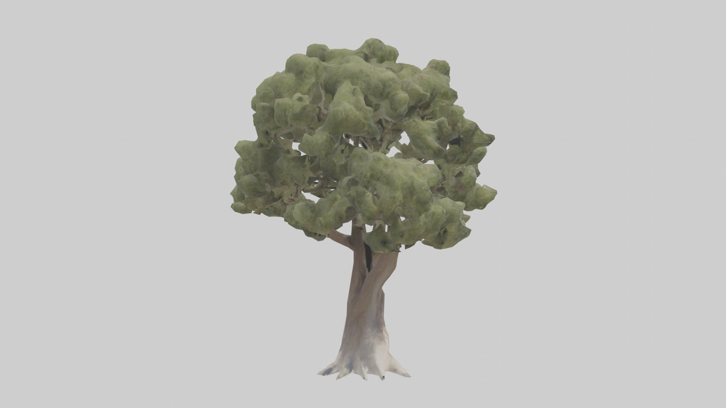 3D model Desert Willow tree model VR / AR / low-poly