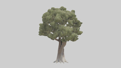 3D model Desert Willow tree model VR / AR / low-poly