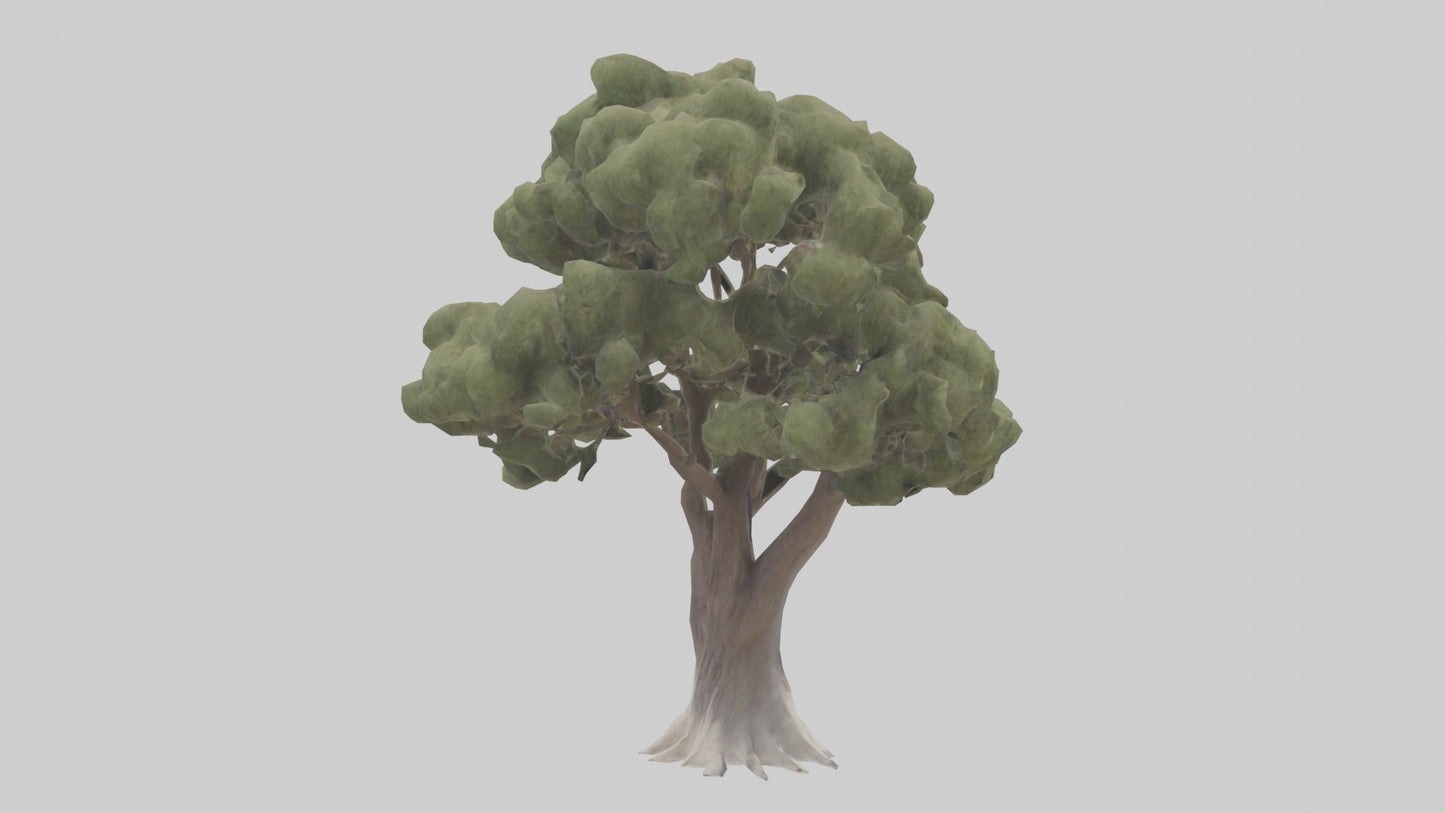 3D model Desert Willow tree model VR / AR / low-poly