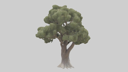 3D model Desert Willow tree model VR / AR / low-poly