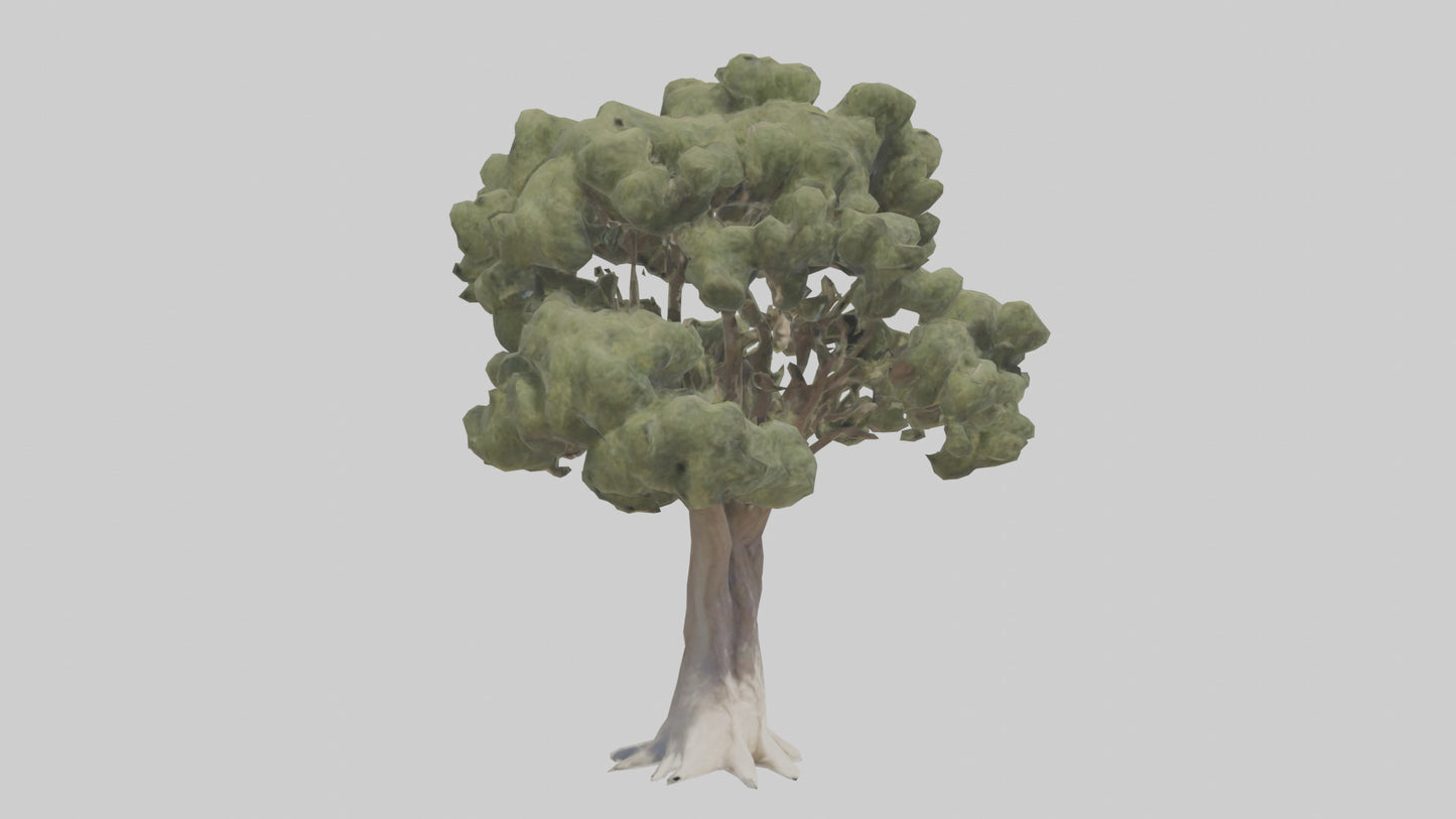 3D model Desert Willow tree model VR / AR / low-poly