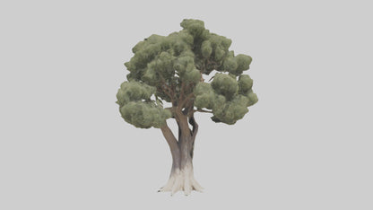 3D model Desert Willow tree model VR / AR / low-poly