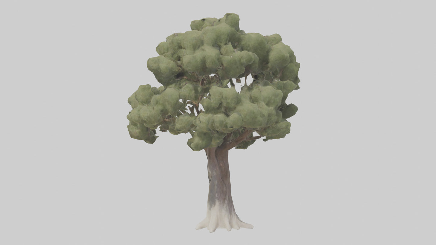 3D model Desert Willow tree model VR / AR / low-poly