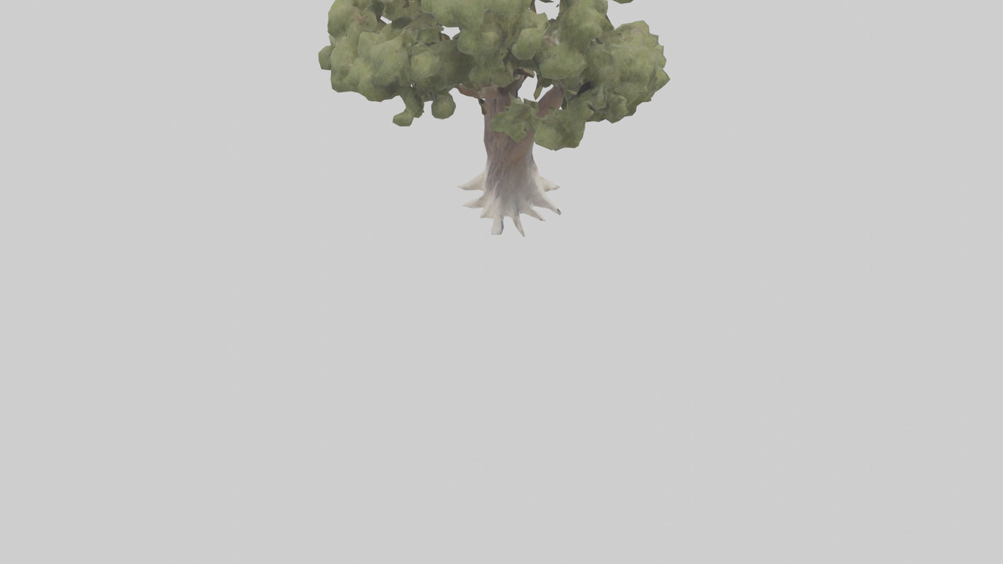 3D model Desert Willow tree model VR / AR / low-poly