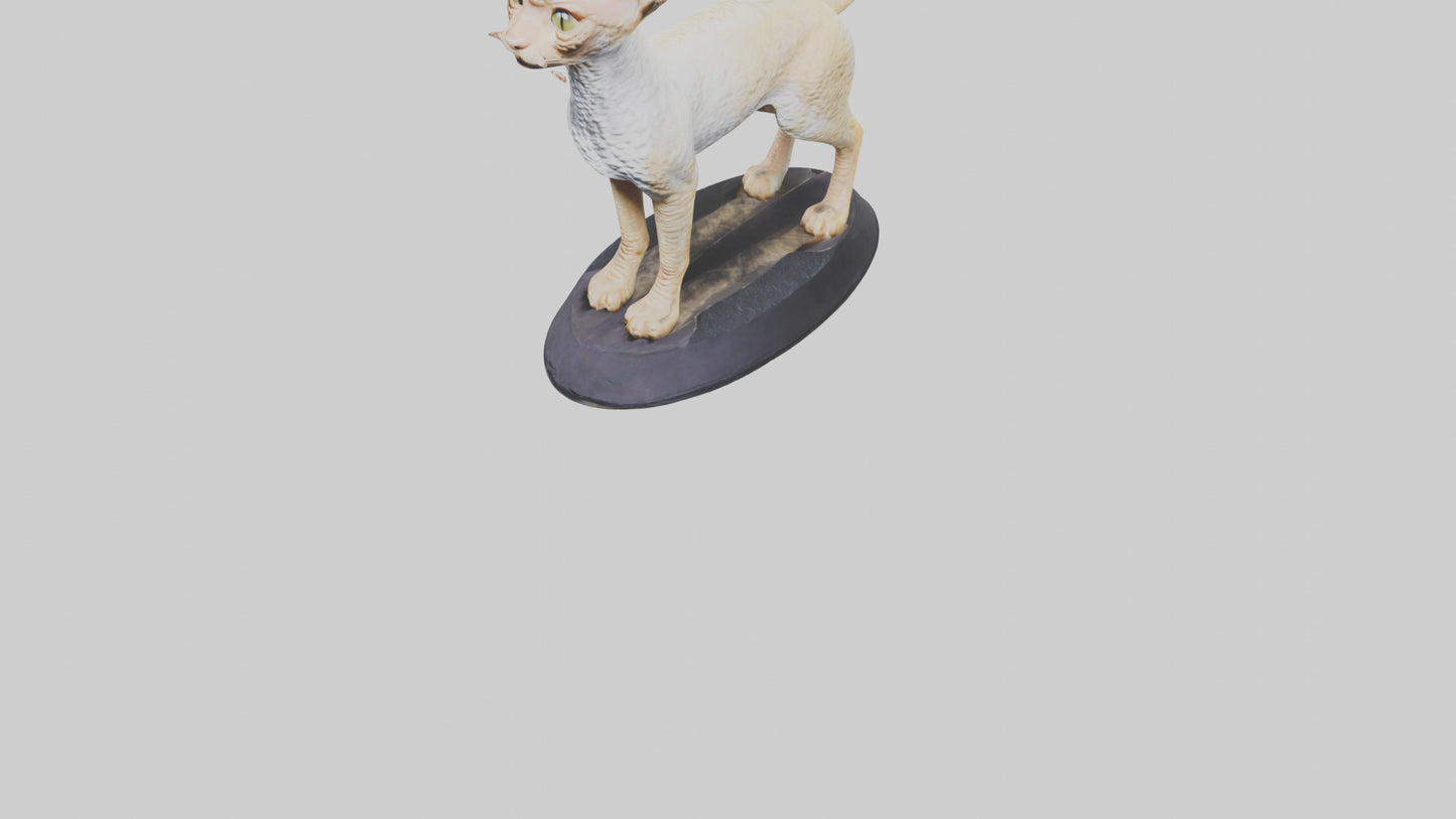 3D model Devon Rex statue model VR / AR / low-poly
