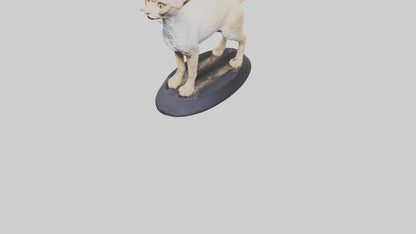 3D model Devon Rex statue model VR / AR / low-poly