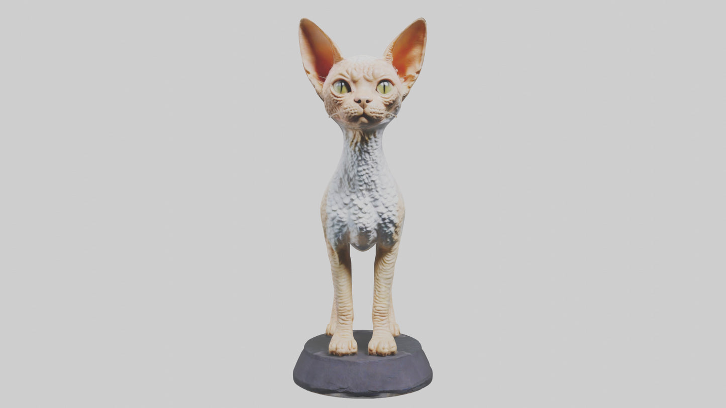 3D model Devon Rex statue model VR / AR / low-poly