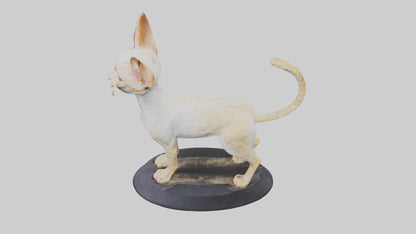 3D model Devon Rex statue model VR / AR / low-poly