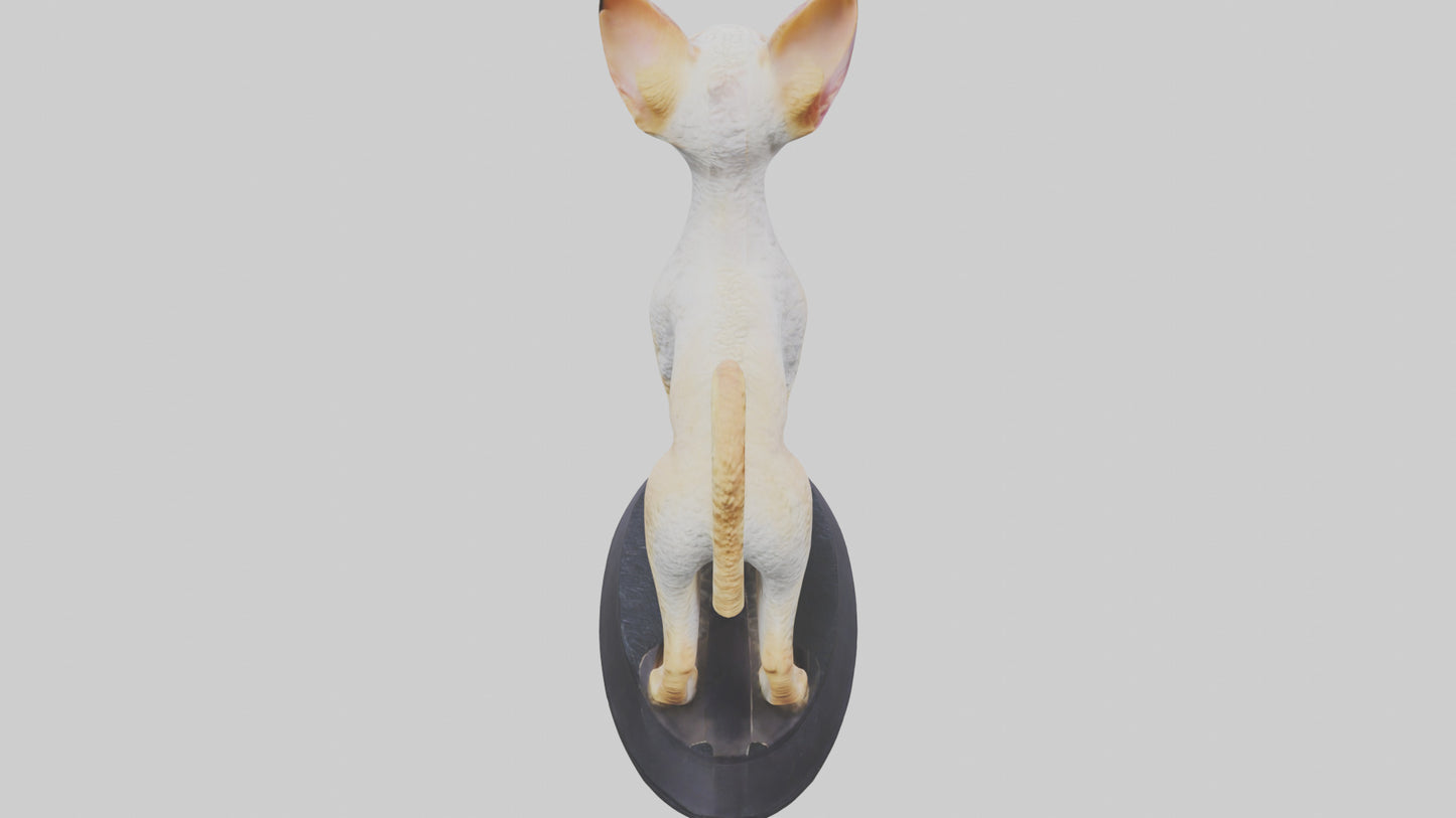 3D model Devon Rex statue model VR / AR / low-poly