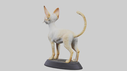 3D model Devon Rex statue model VR / AR / low-poly