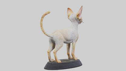 3D model Devon Rex statue model VR / AR / low-poly