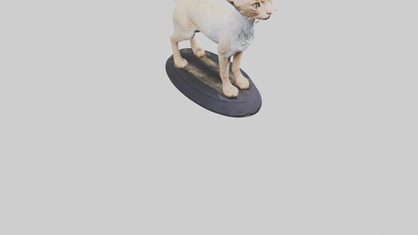 3D model Devon Rex statue model VR / AR / low-poly