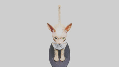 3D model Devon Rex statue model VR / AR / low-poly