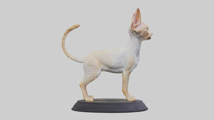 3D model Devon Rex statue model VR / AR / low-poly