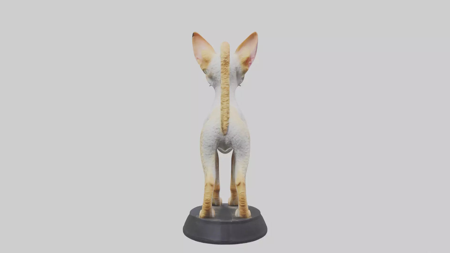 3D model Devon Rex statue model VR / AR / low-poly