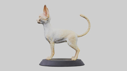 3D model Devon Rex statue model VR / AR / low-poly