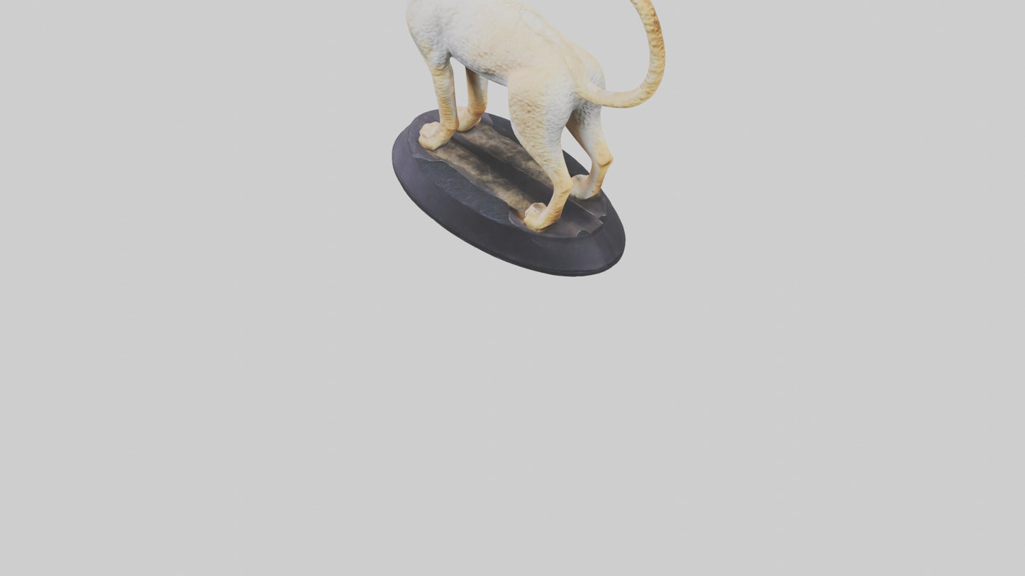 3D model Devon Rex statue model VR / AR / low-poly