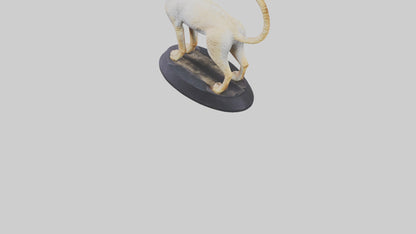 3D model Devon Rex statue model VR / AR / low-poly
