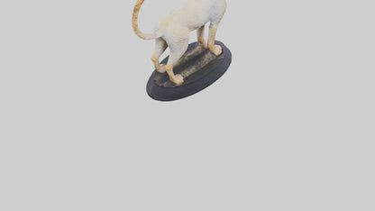 3D model Devon Rex statue model VR / AR / low-poly