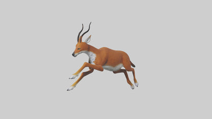 3D model Dhole chasing prey model VR / AR / low-poly