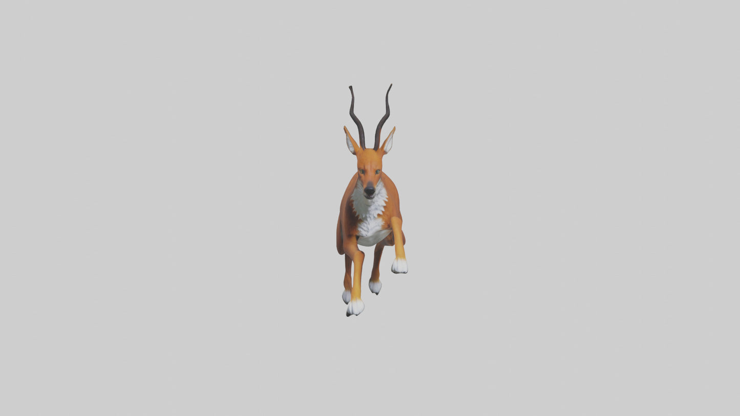 3D model Dhole chasing prey model VR / AR / low-poly