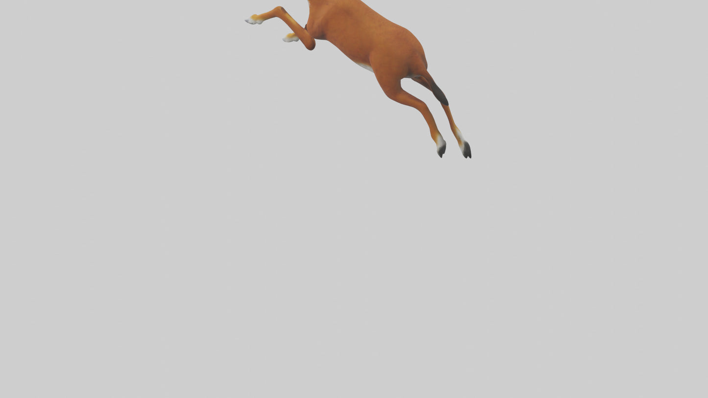 3D model Dhole chasing prey model VR / AR / low-poly