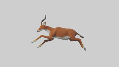 3D model Dhole chasing prey model VR / AR / low-poly