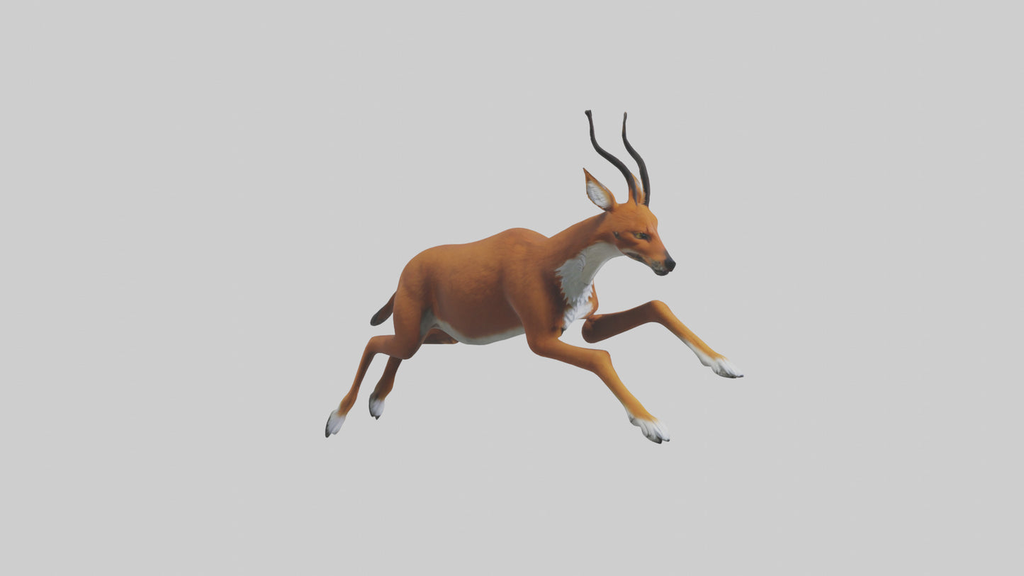 3D model Dhole chasing prey model VR / AR / low-poly