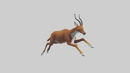 3D model Dhole chasing prey model VR / AR / low-poly