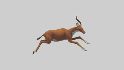 3D model Dhole chasing prey model VR / AR / low-poly
