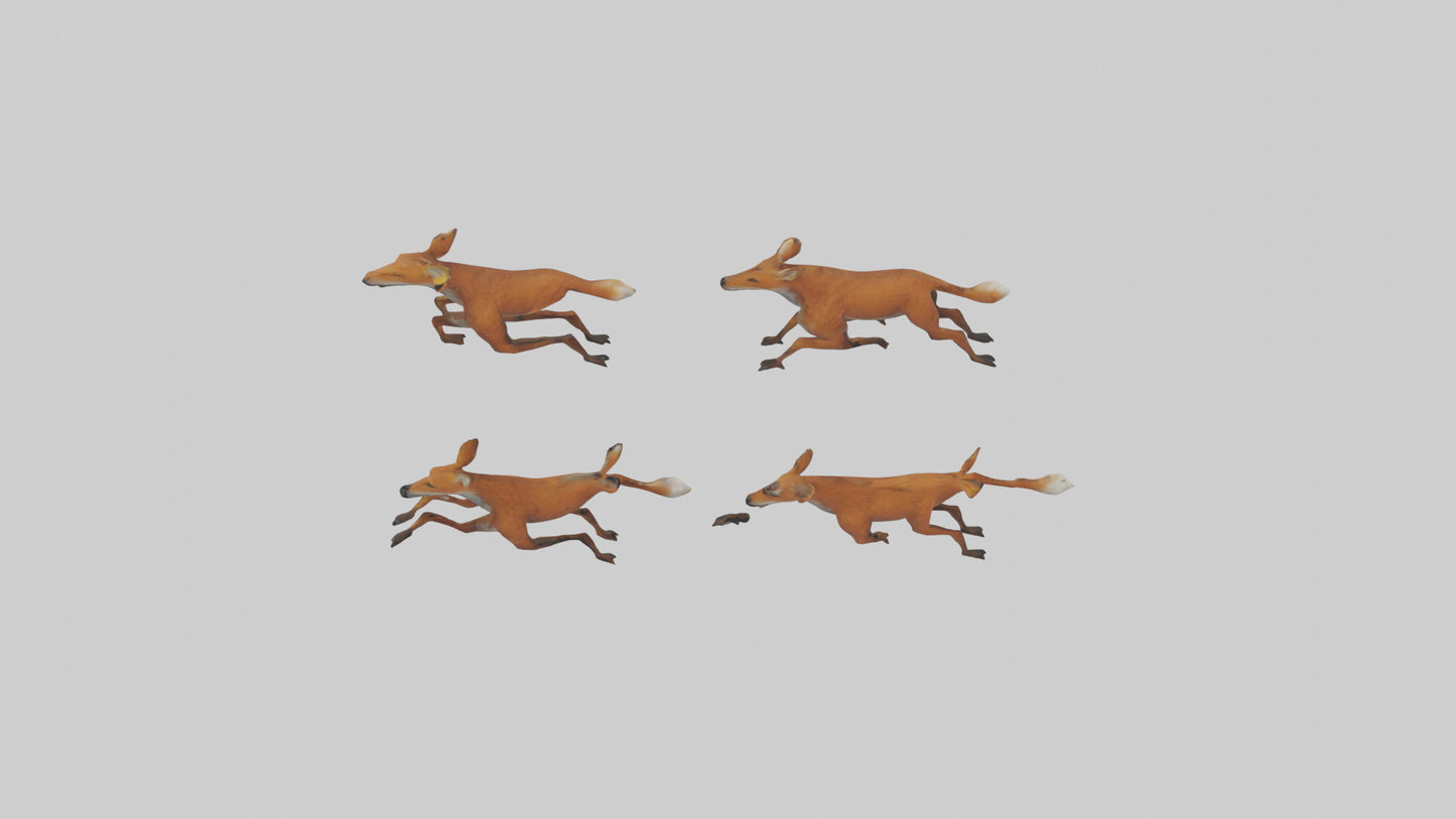 3D model Dhole running in pack model VR / AR / low-poly