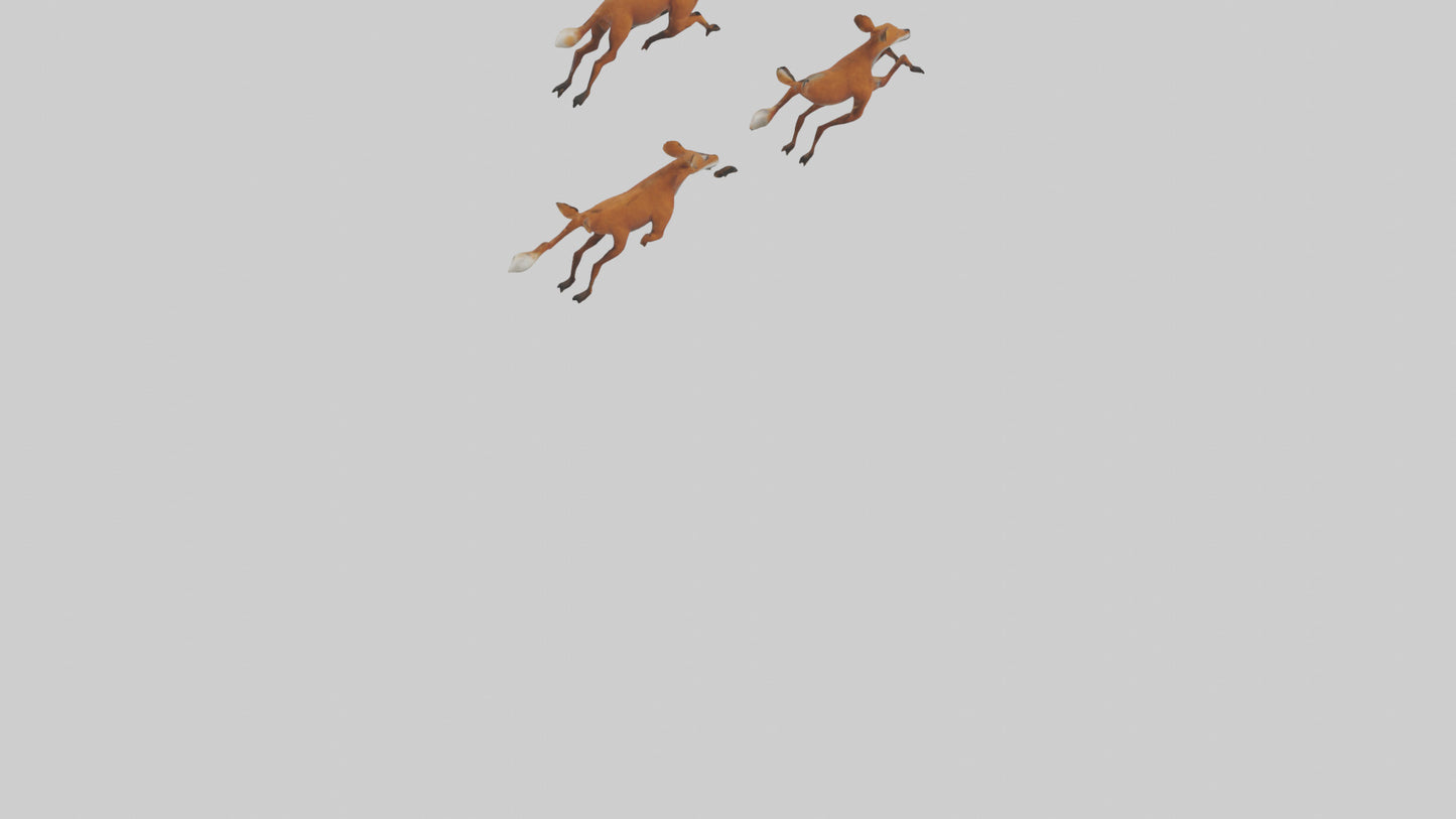 3D model Dhole running in pack model VR / AR / low-poly