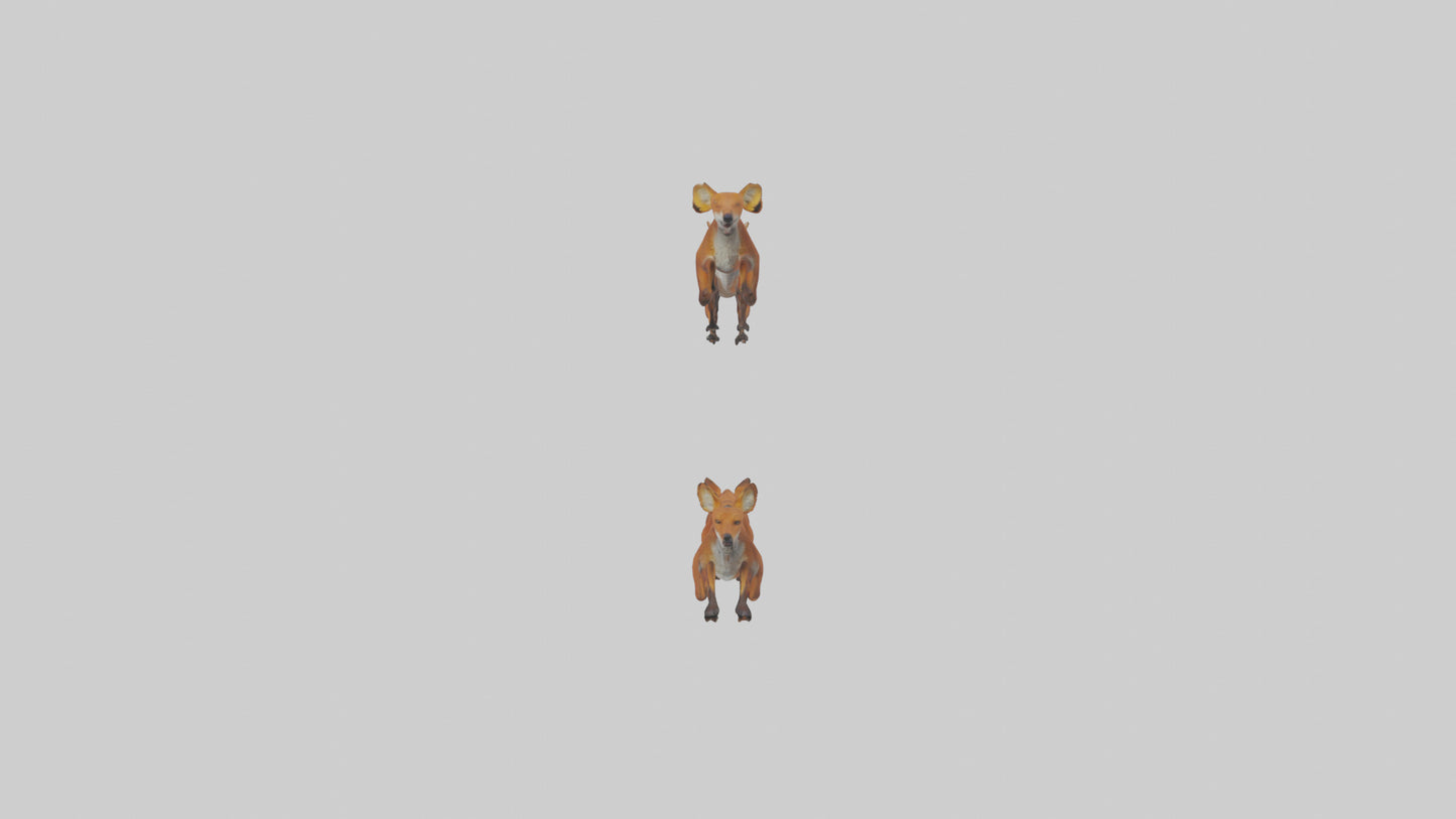 3D model Dhole running in pack model VR / AR / low-poly