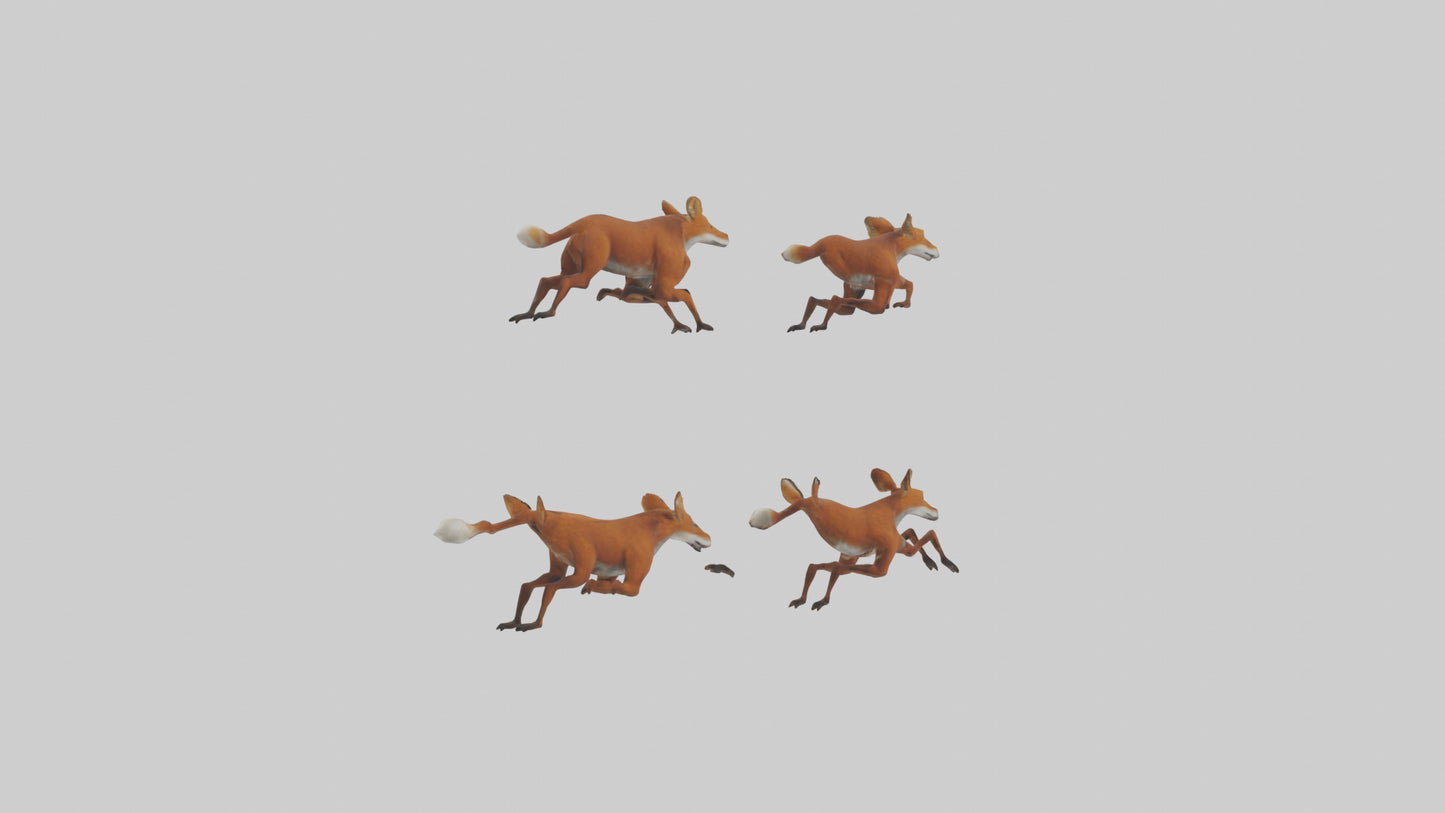 3D model Dhole running in pack model VR / AR / low-poly