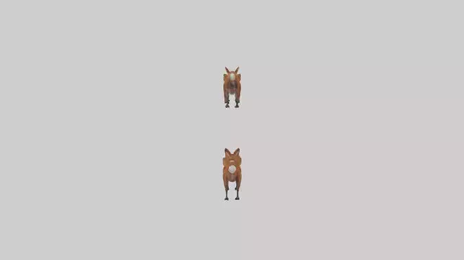 3D model Dhole running in pack model VR / AR / low-poly