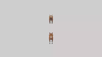 3D model Dhole running in pack model VR / AR / low-poly