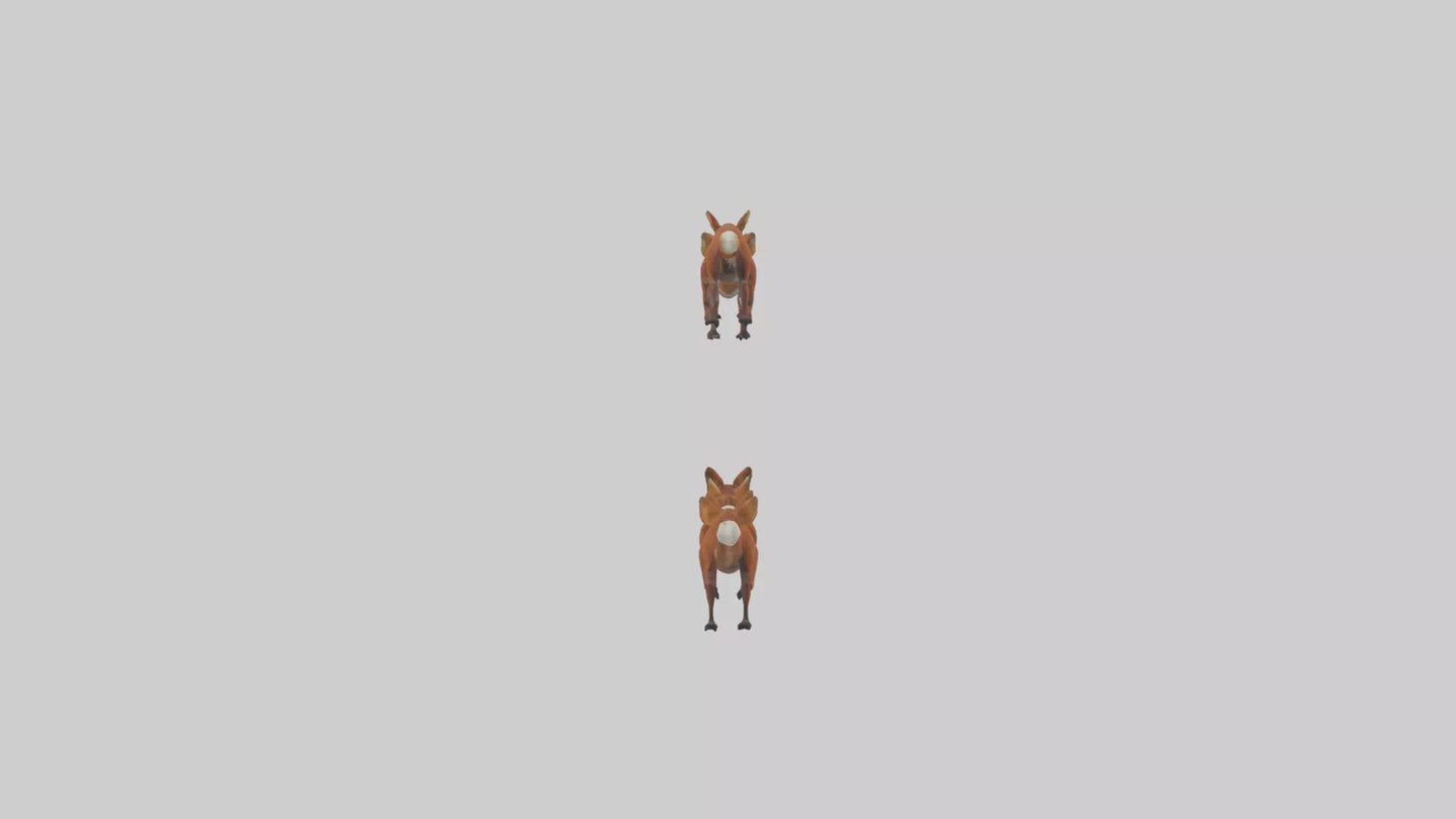 3D model Dhole running in pack model VR / AR / low-poly