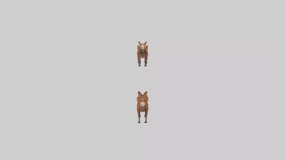 3D model Dhole running in pack model VR / AR / low-poly
