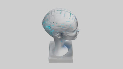 Digital Mind statue model 3D model
