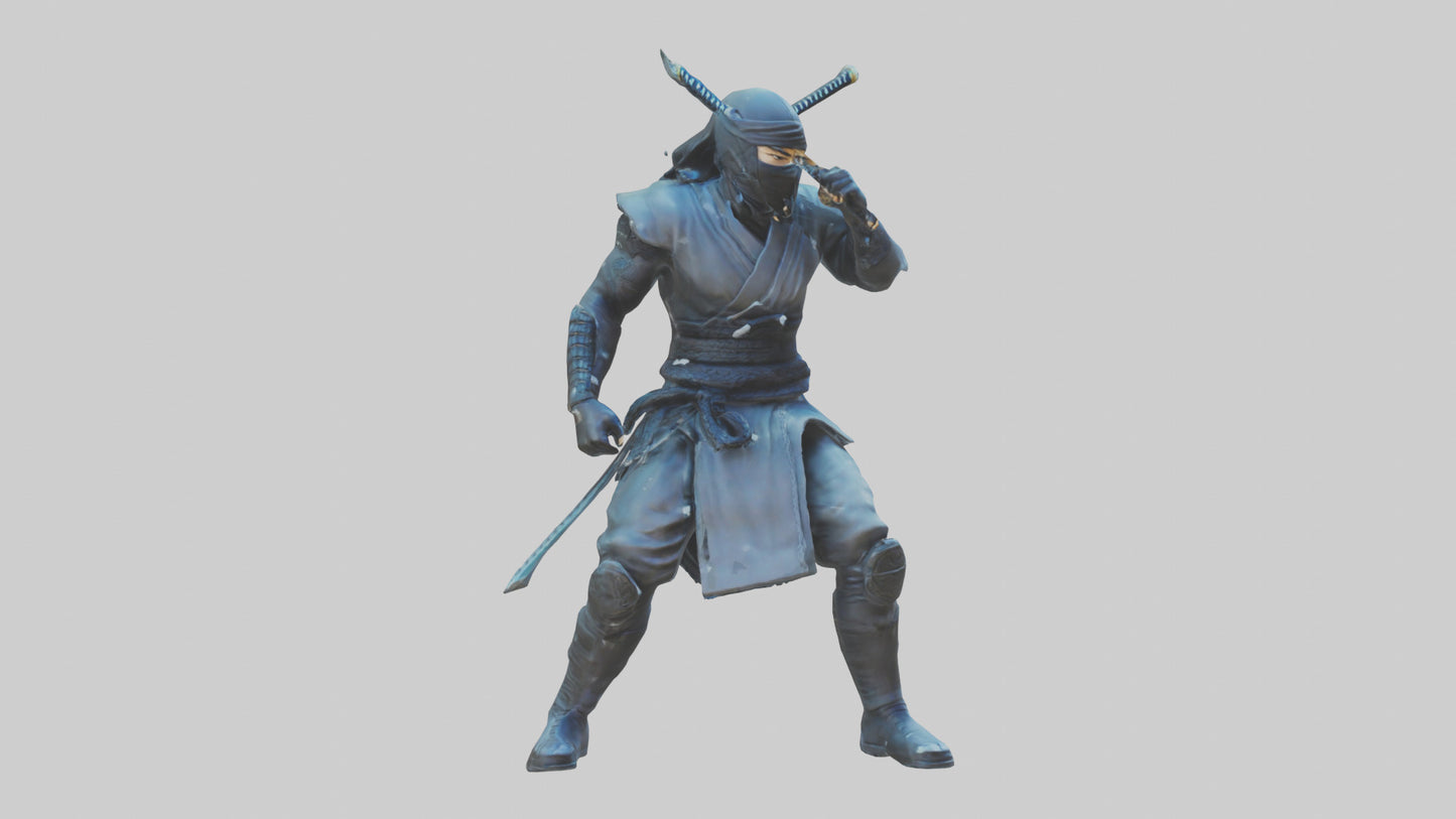 Digital Ninja statue model 3D model