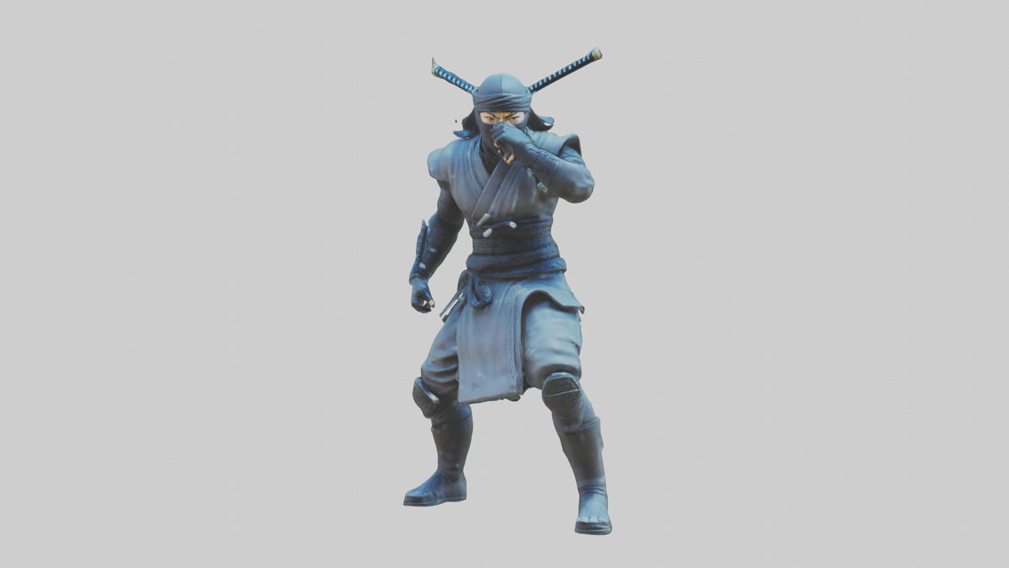 Digital Ninja statue model 3D model