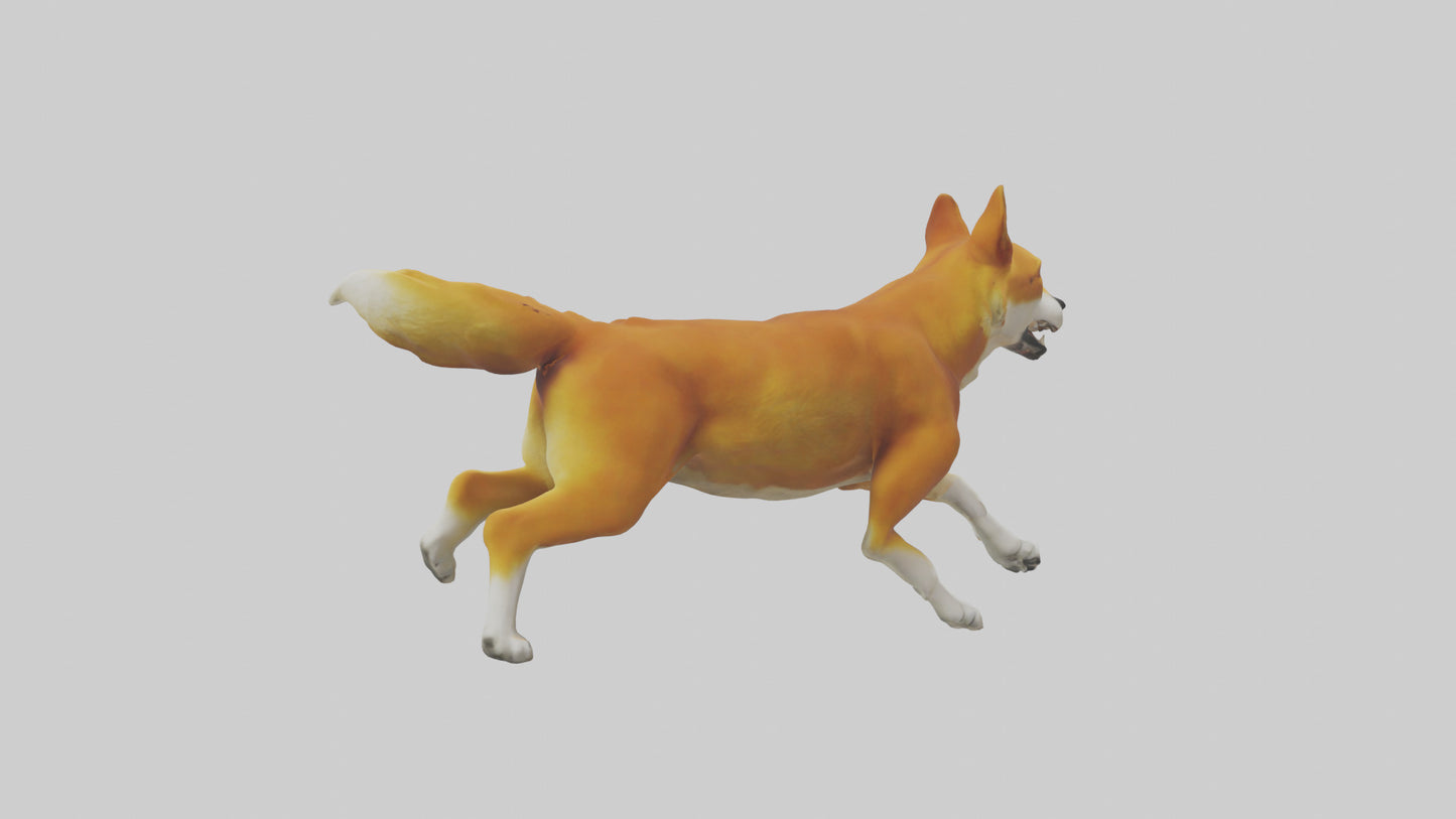 Dingo chasing prey model 3D model