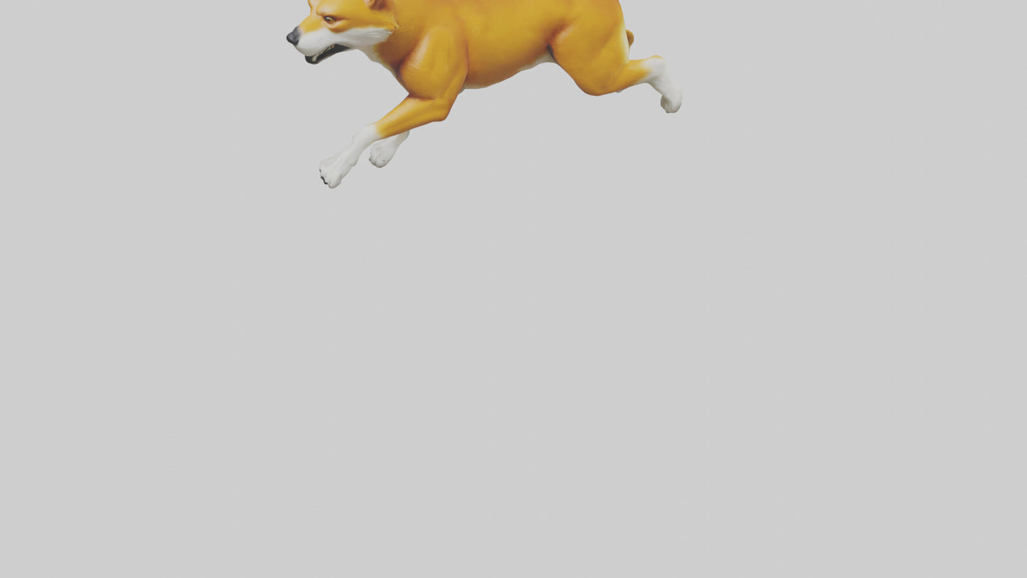 Dingo chasing prey model 3D model