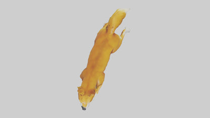 Dingo chasing prey model 3D model