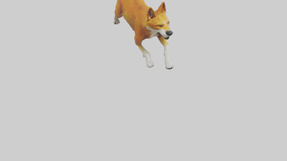 Dingo chasing prey model 3D model