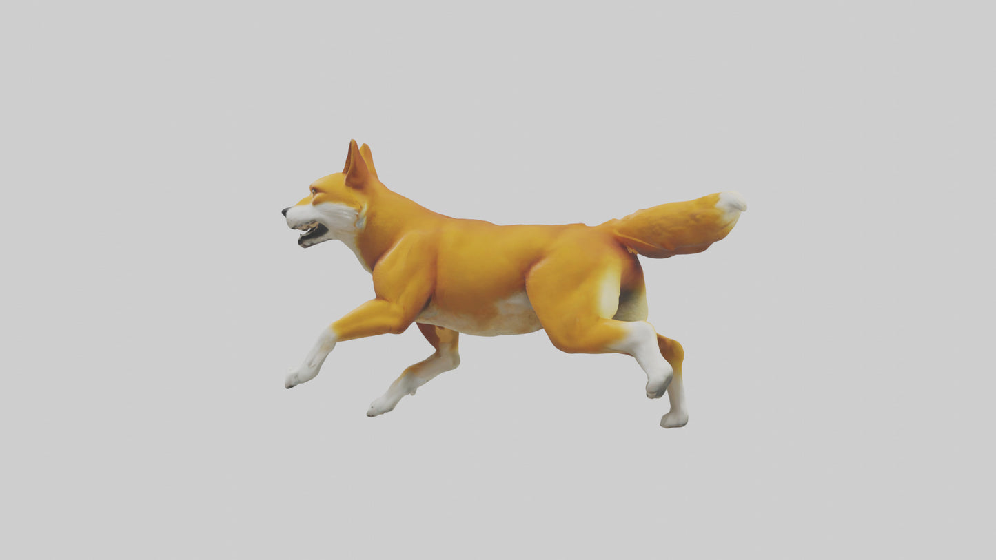 Dingo chasing prey model 3D model
