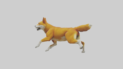 Dingo chasing prey model 3D model