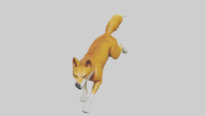 Dingo chasing prey model 3D model