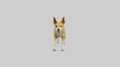 Dingo dog running model VR / AR / low-poly