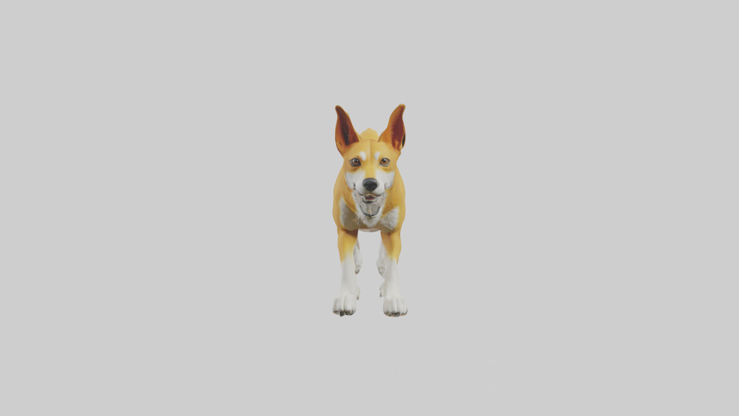 Dingo dog running model VR / AR / low-poly